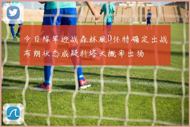 今日绿军迎战森林狼D怀特确定出战布朗状态成疑科塔大概率出场