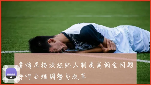 鲁梅尼格谈经纪人制度高佣金问题呼吁合理调整与改革