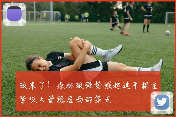 狼来了！森林狼强势崛起追平掘金紧咬火箭稳居西部第五